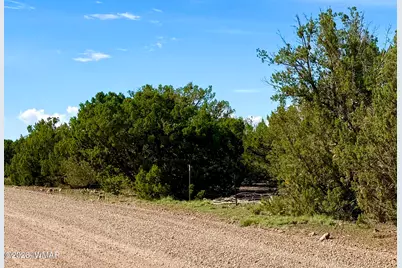 8322 Navajo Drive, Show Low, AZ 85901 - Photo 3