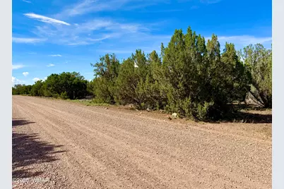 8322 Navajo Drive, Show Low, AZ 85901 - Photo 7