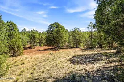 757 Jacks Wild Road, Show Low, AZ 85901 - Photo 33