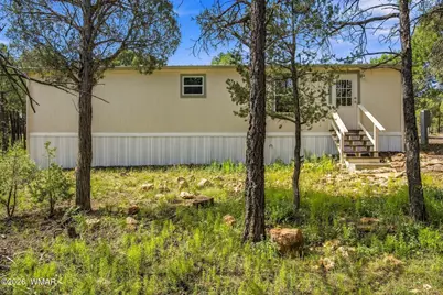 757 Jacks Wild Road, Show Low, AZ 85901 - Photo 31