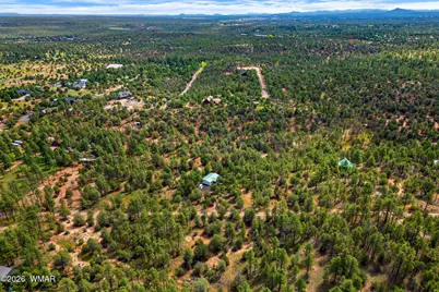 757 Jacks Wild Road, Show Low, AZ 85901 - Photo 41
