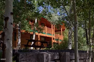24 1120 Unit 3 (Cabins 80 &amp 81), Greer, AZ 85927 - Photo 3