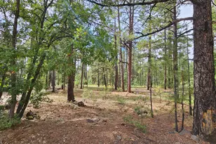 6311 Appaloosa Cir, Pinetop, AZ 85935 - Photo 1