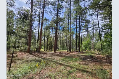 6311 Appaloosa Circle, Pinetop, AZ 85935 - Photo 7