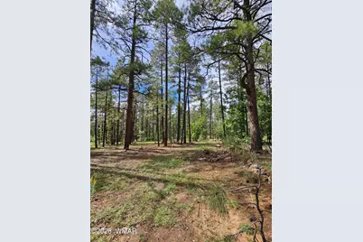 6311 Appaloosa Circle, Pinetop, AZ 85935 - Photo 9
