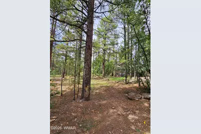 6311 Appaloosa Circle, Pinetop, AZ 85935 - Photo 3