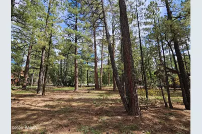 6311 Appaloosa Circle, Pinetop, AZ 85935 - Photo 11