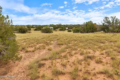3919 Petersen Road, Snowflake, AZ 85937 - Photo 5