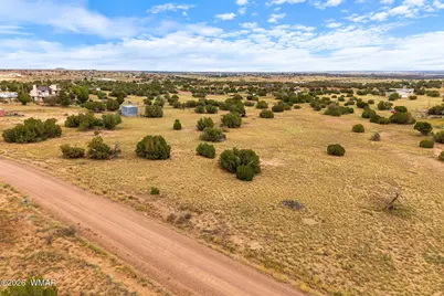 3919 Petersen Road, Snowflake, AZ 85937 - Photo 3
