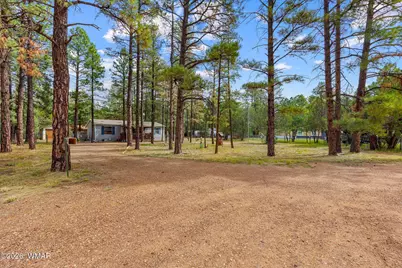 2032 Bald Eagle Court, Overgaard, AZ 85933 - Photo 29