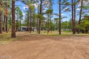 2032 Bald Eagle Ct, Overgaard, AZ 85933 - Photo 29