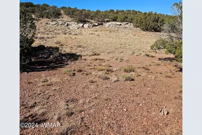 45 N 8579, Concho, AZ 85924 - Photo 3