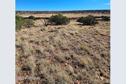 45 N 8579, Concho, AZ 85924 - Photo 5