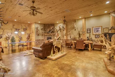 7444 Caldwell Canyon, Snowflake, AZ 85937 - Photo 49
