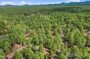 2594 Mustang Cir, Pinetop, AZ 85935 - Photo 35