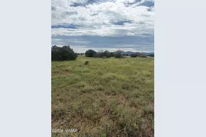 149 County Road 3149, Vernon, AZ 85940 - Photo 3