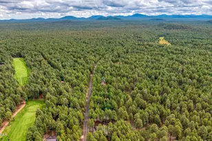 7951 Country Club Dr, Pinetop, AZ 85935 - Photo 3