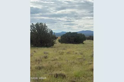 16 N N3111, Vernon, AZ 85940 - Photo 3