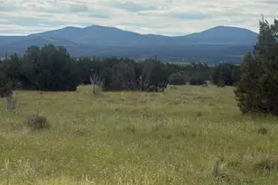 16 N N3111, Vernon, AZ 85940 - Photo 1