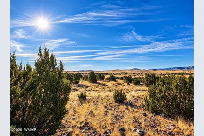 19 N5232, Concho, AZ 85924 - Photo 1