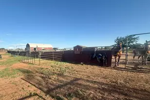 9694 E Concho Hwy, Snowflake, AZ 85937 - Photo 35