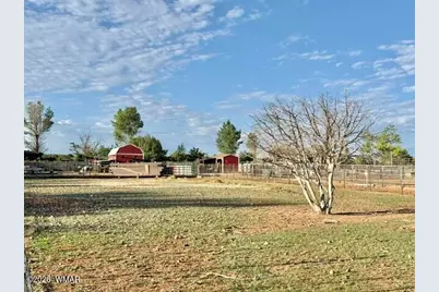 9694 E Concho Highway, Snowflake, AZ 85937 - Photo 43