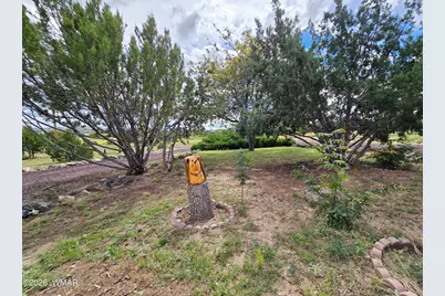 20 Zuni, Concho, AZ 85924 - Photo 3