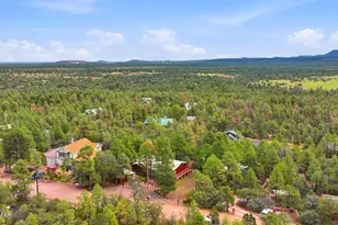 3197 Pine Needle Dr, Show Low, AZ 85901 - Photo 51