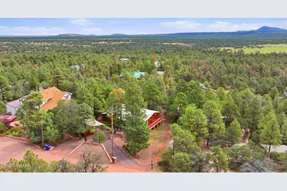 3197 Pine Needle Drive, Show Low, AZ 85901 - Photo 49