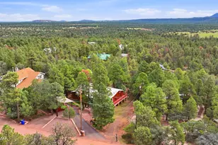3197 Pine Needle Dr, Show Low, AZ 85901 - Photo 49