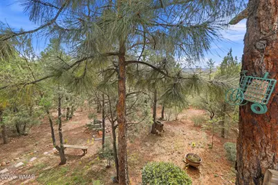 3197 Pine Needle Drive, Show Low, AZ 85901 - Photo 33