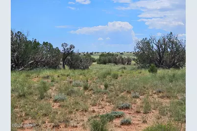 1924 Hutch Road, Heber, AZ 85928 - Photo 1