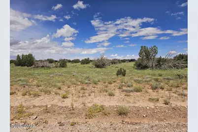 1924 Hutch Road, Heber, AZ 85928 - Photo 3