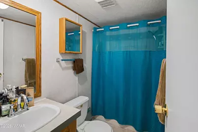 3489 Rainbow Lake Drive, Unit 82 #82, Lakeside, AZ 85929 - Photo 11