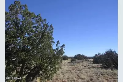 Lot 537 Chevelon Canyon Ranch, Lot 537, Heber, AZ 85928 - Photo 1