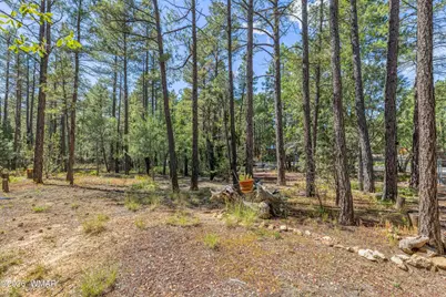 2861 W Young, Show Low, AZ 85901 - Photo 3