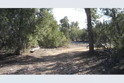 3249 E Aspen Road, Overgaard, AZ 85933 - Photo 1