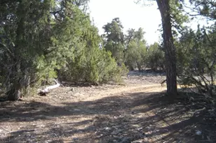 3249 E Aspen Rd, Overgaard, AZ 85933 - Photo 1