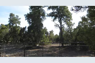 3249 E Aspen Road, Overgaard, AZ 85933 - Photo 3