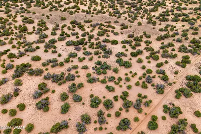 Lot 3 Witch Well Ranches, Saint Johns, AZ 85936 - Photo 17