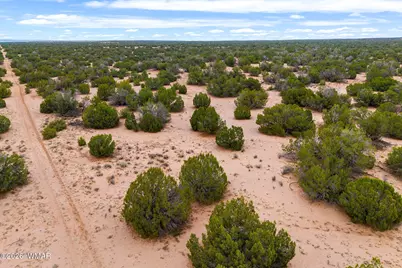 Lot 3 Witch Well Ranches, Saint Johns, AZ 85936 - Photo 3