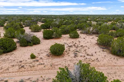 Lot 3 Witch Well Ranches, Saint Johns, AZ 85936 - Photo 5