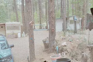 2603 E Poplar Dr Unit, Pinetop, AZ 85935 - Photo 13