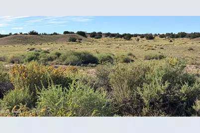 Tbd N 6543, Saint Johns, AZ 85936 - Photo 1