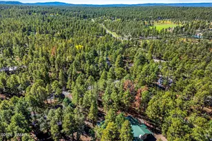 696 E Woodland Lake Rd, Pinetop, AZ 85935 - Photo 13
