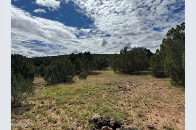 33 County Road 8230, Concho, AZ 85924 - Photo 5