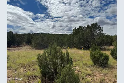 33 County Road 8230, Concho, AZ 85924 - Photo 3