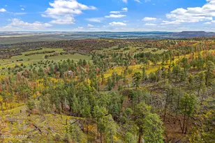 41005 Az-261B, Eagar, AZ 85925 - Photo 57