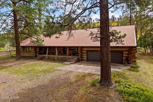 41005 Az-261B, Eagar, AZ 85925 - Photo 5