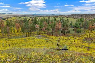 41005 Az-261B, Eagar, AZ 85925 - Photo 59